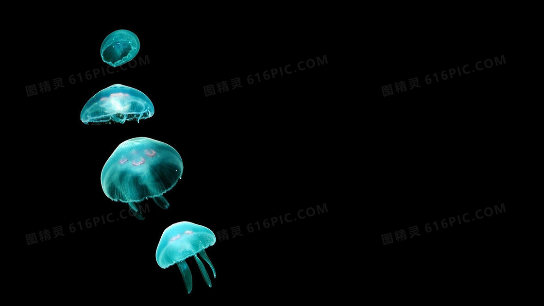 蓝绿色荧光水母背景