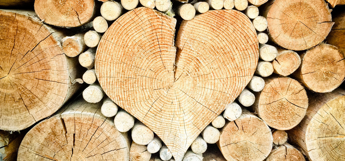 psd木屑背景1920 × 800jpg旗帜网页横幅2195 × 627jpg木头背景1920