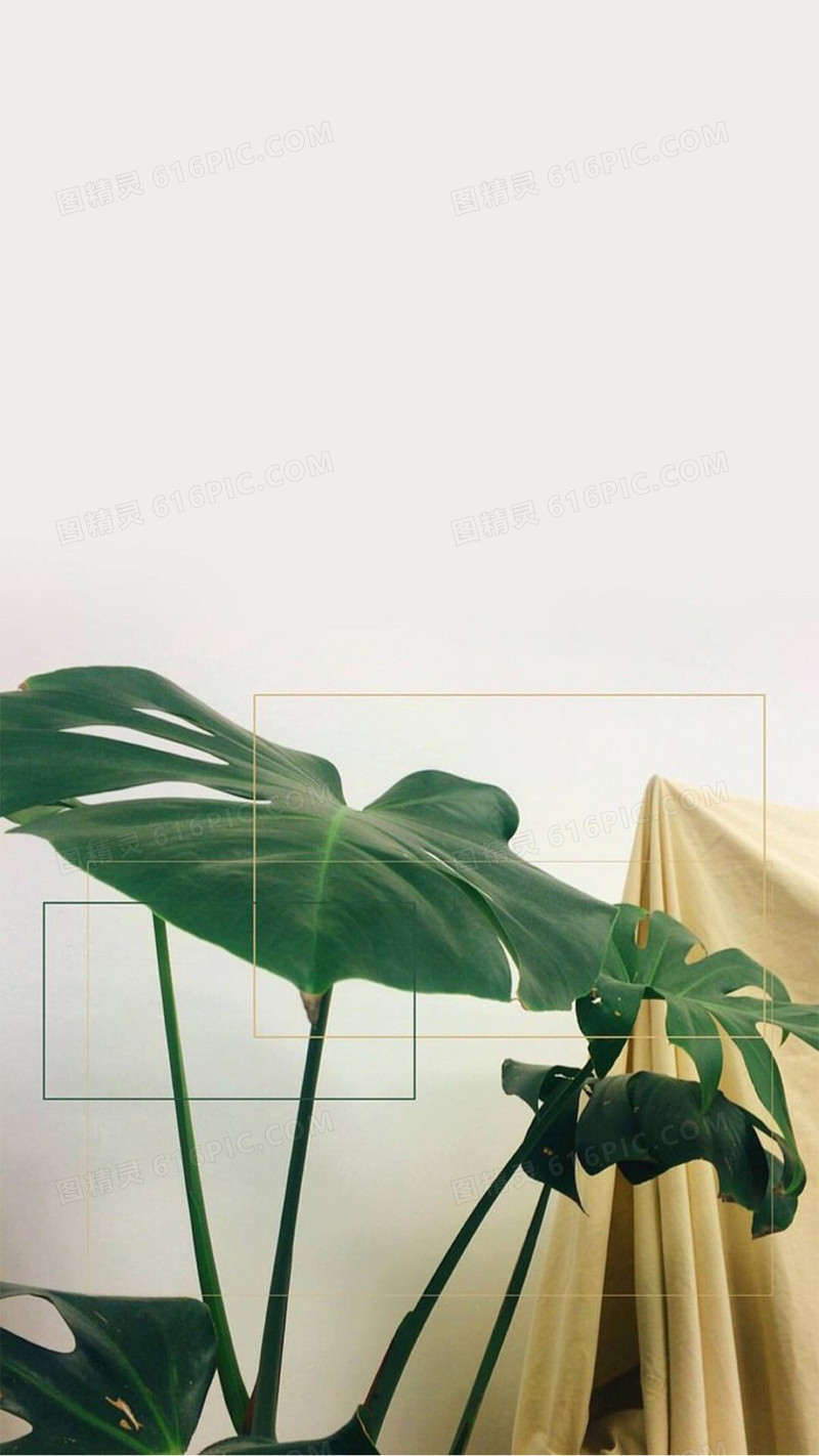 日系简约绿植背景
