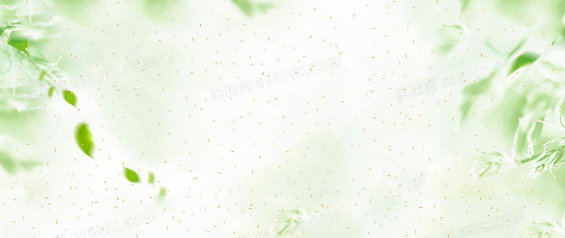 春天小清新文艺柳枝朦胧绿banner