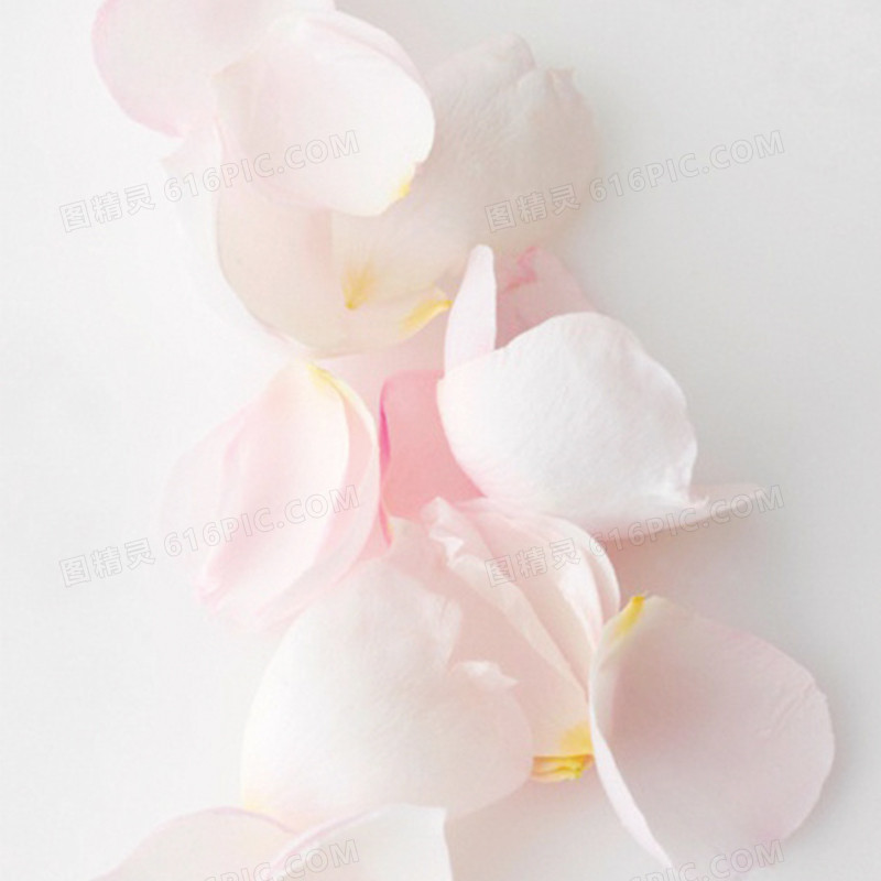 唯美粉色花瓣背景图