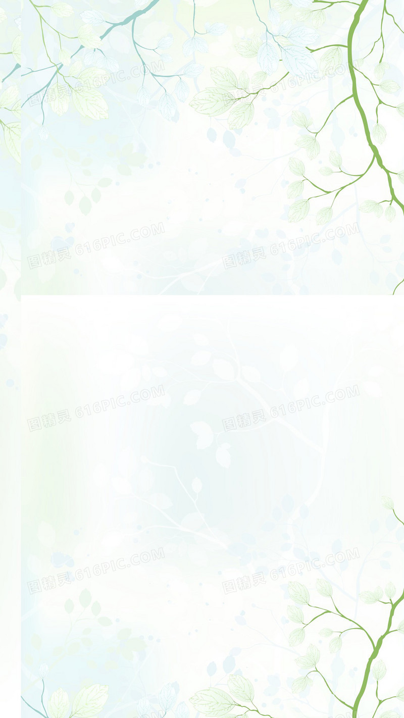 女装H5背景