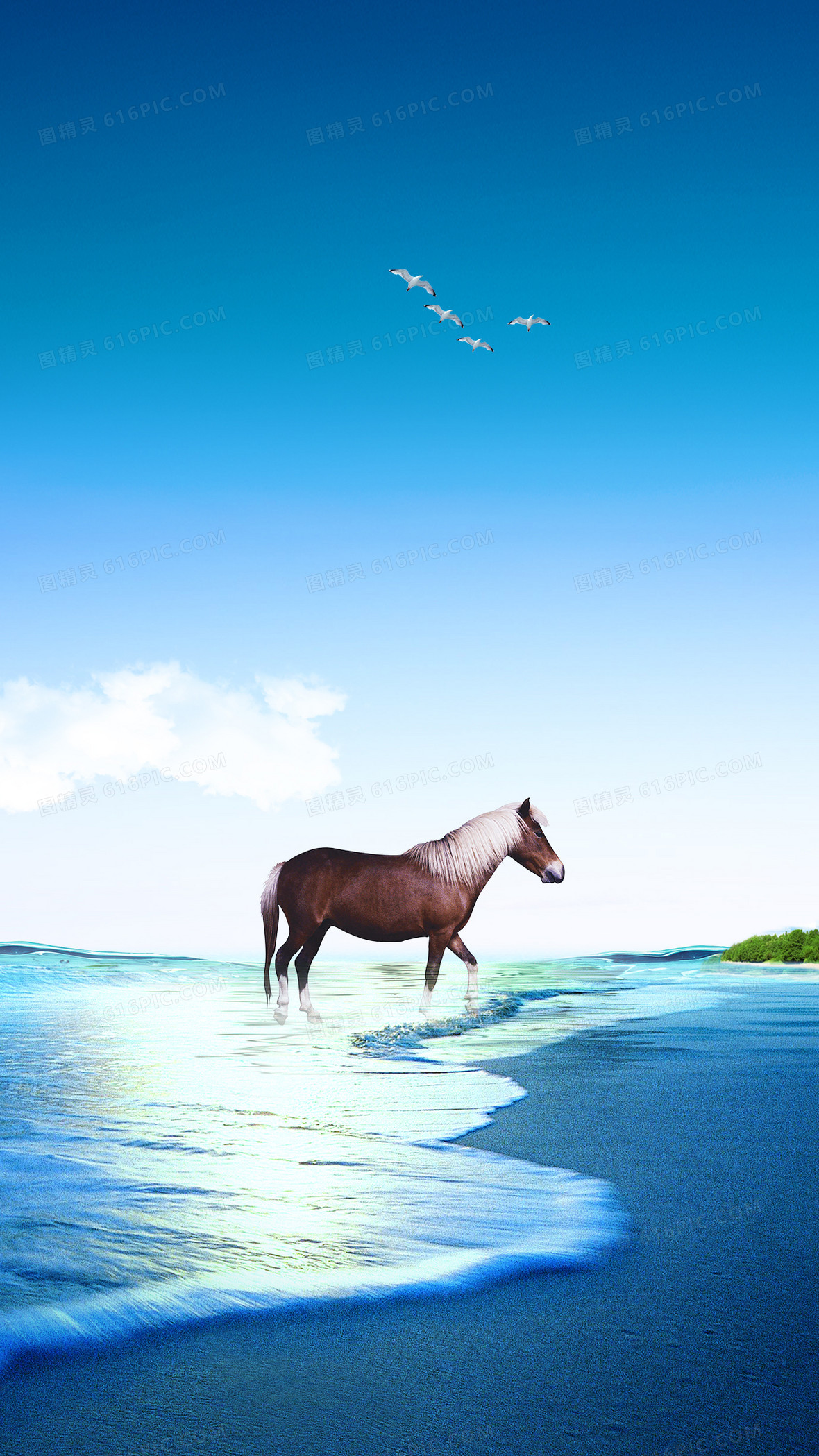 海边h5背景背景图片下载_1242x2208像素jpg格式_编号1xgf53nnz_图精灵