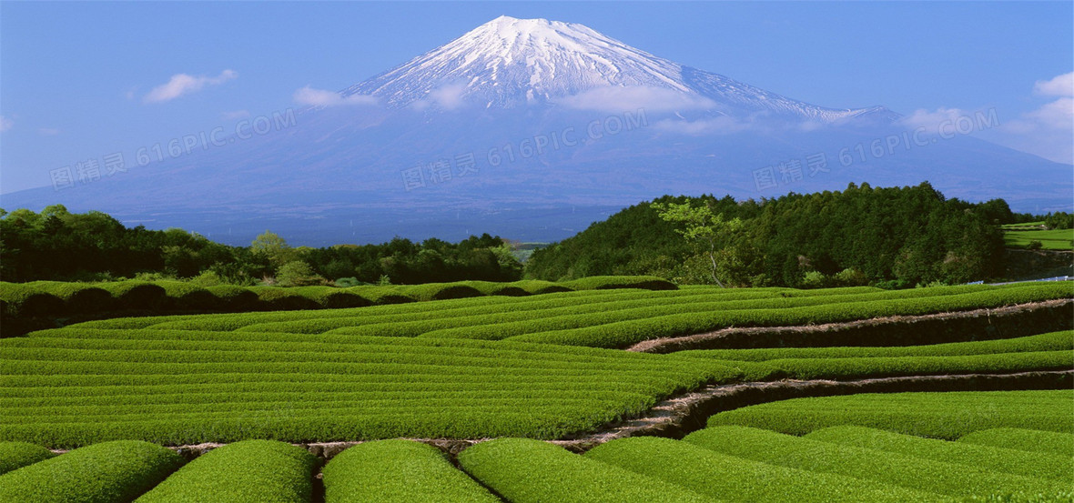 廣闊的田地背景背景圖片下載_1920x900像素jpg格式