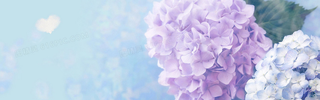 蓝紫色花卉背景