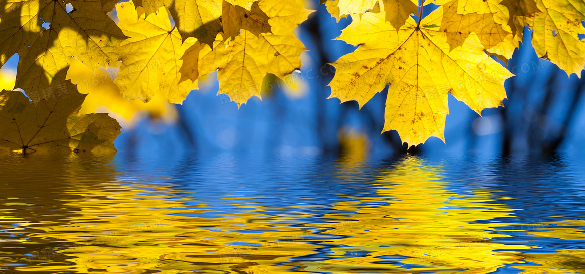 淡绿色水纹艾草背景背景图片下载_2000x2000像素jpg格式_编号z0mfk4ly