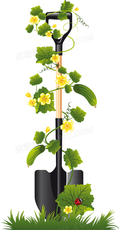 清新手绘田园花卉