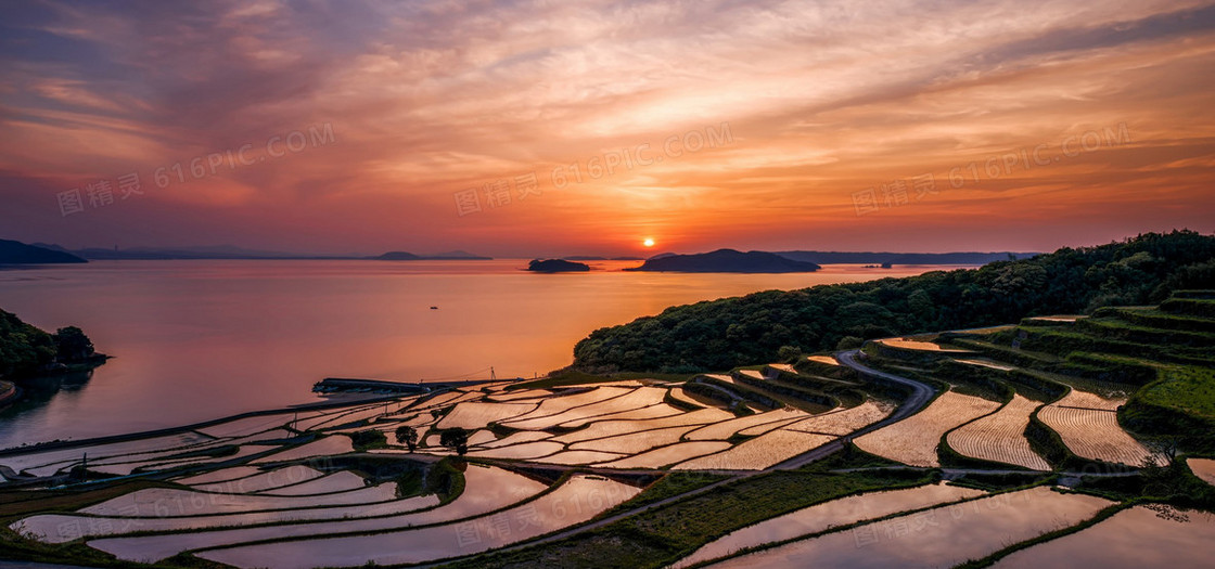 落日下梯田风光