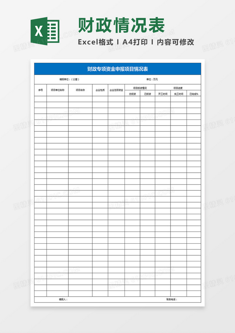财政专项资金申报项目情况表excel模板