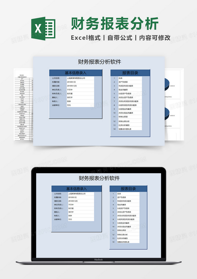 财务报表分析Excel模板