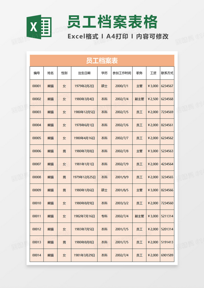 档案表实例拓展excel模板