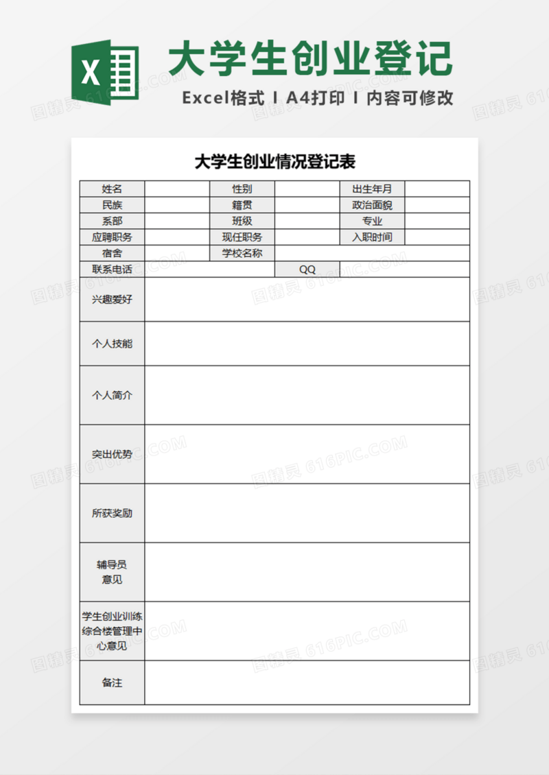 大学生创业情况登记表Excel模板