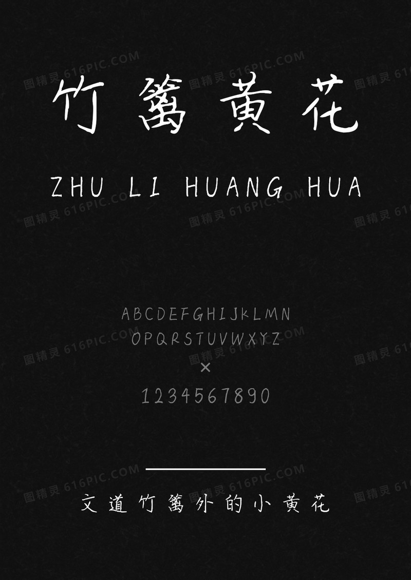 文道竹篱外的小黄花