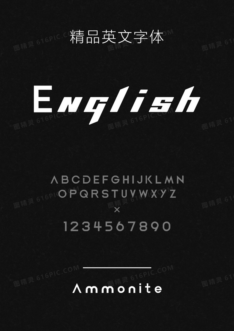 Ammonite英文字体