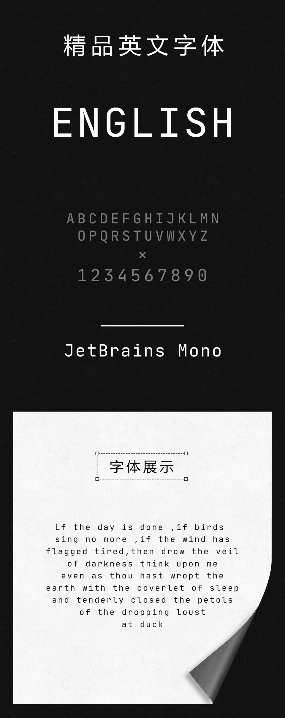 jetbrainsmonoregular英文字体