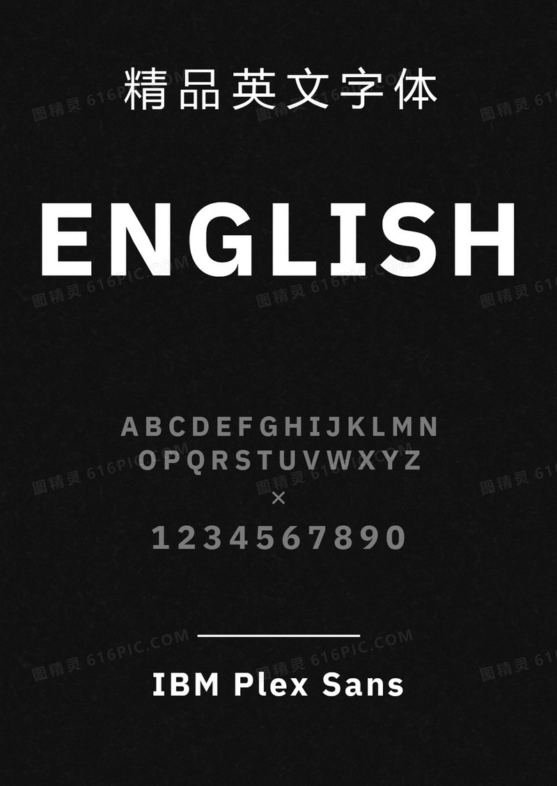 IBM Plex Sans-Bold英文字体