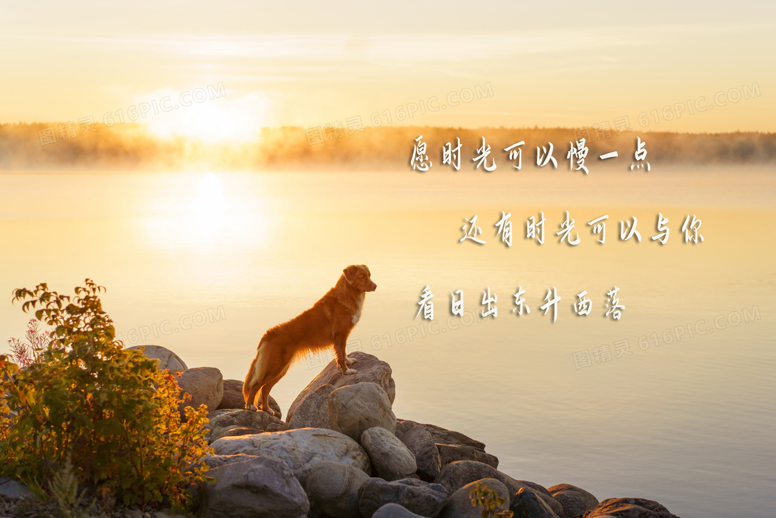 生活温暖语录图片