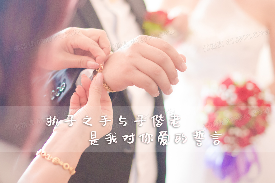 执子之手与子偕老图片