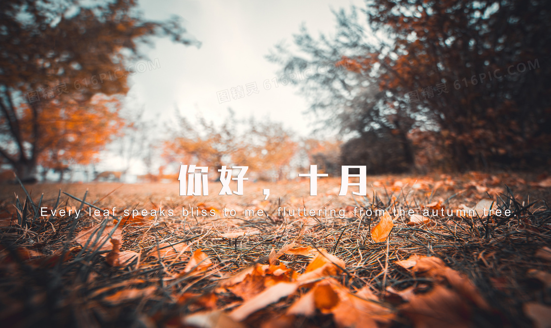 你好十月图片 _你好十月文字图片_站长素材