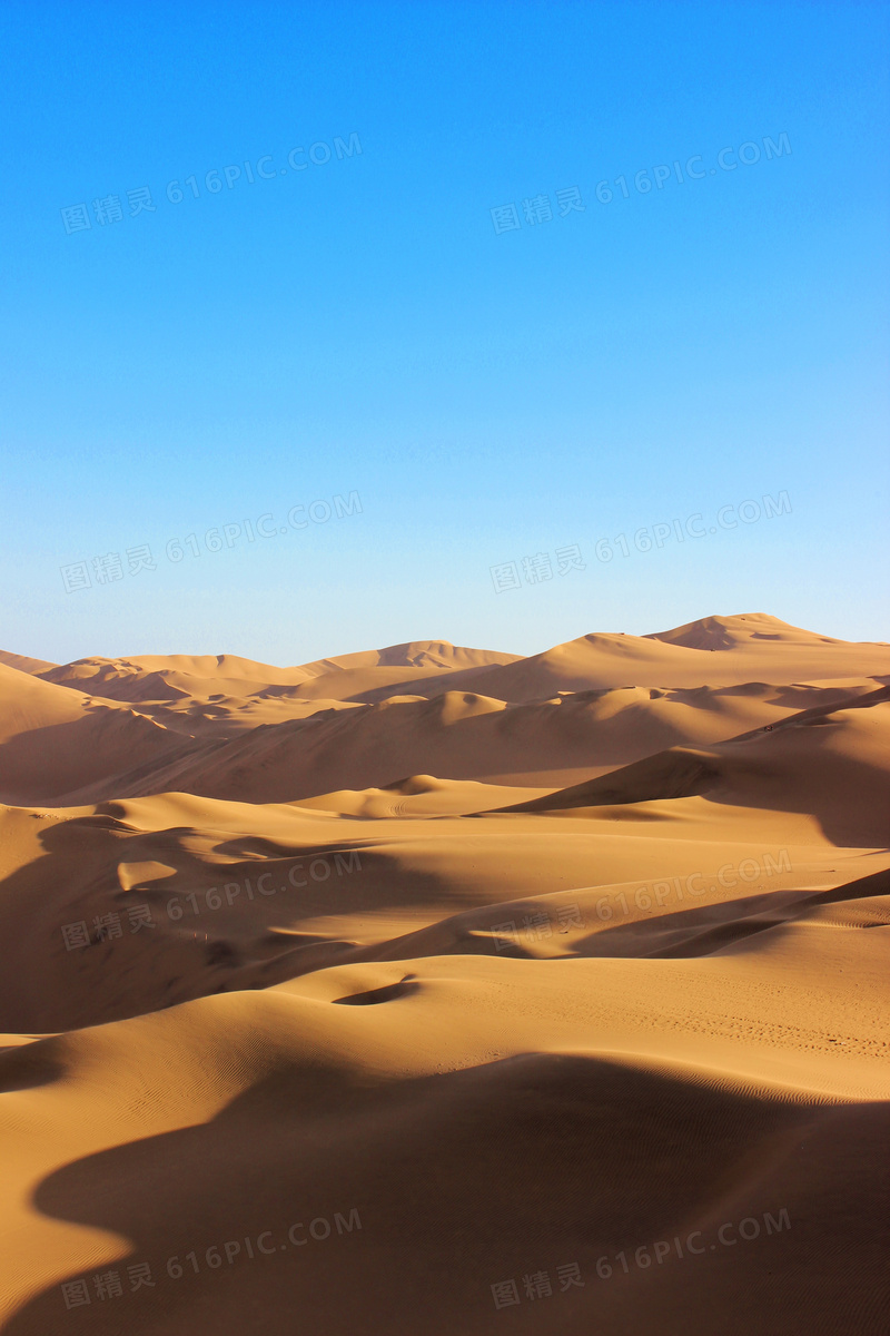 蓝色天空金色沙漠图片
