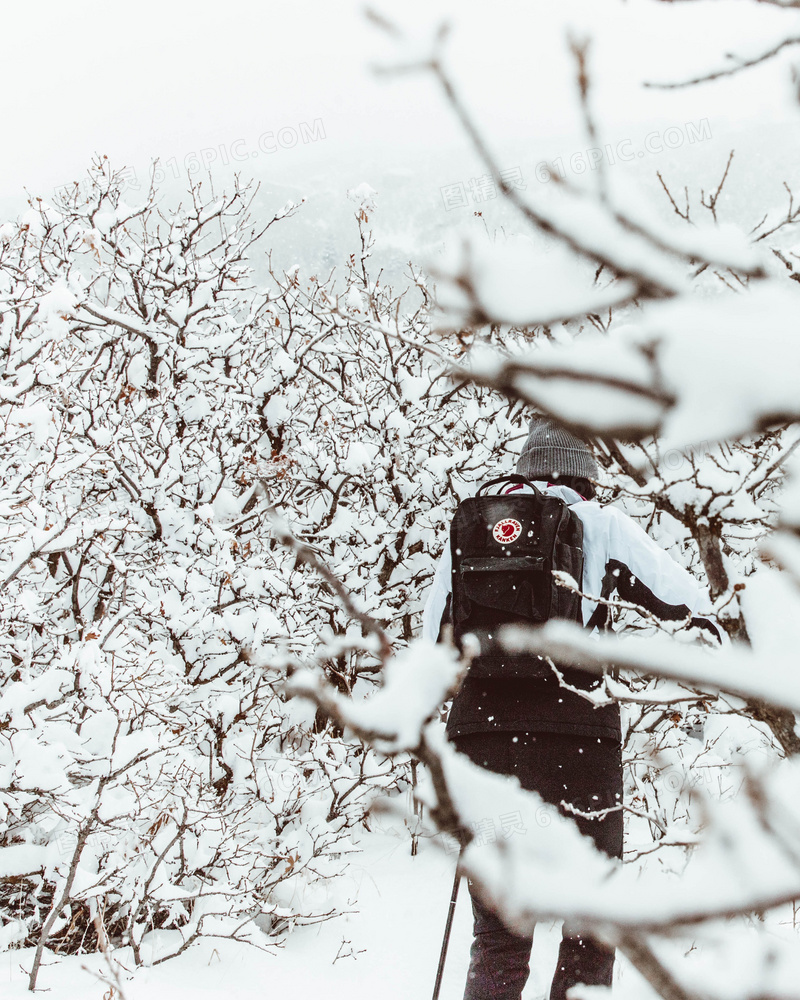 冬季雪地徒步旅行图片