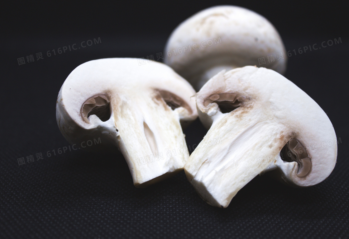 野生白蘑菇图片素材-编号13896599-图行天下