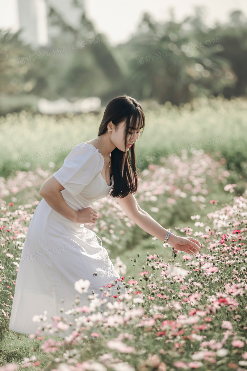 唯美花海亚洲美女写真图片