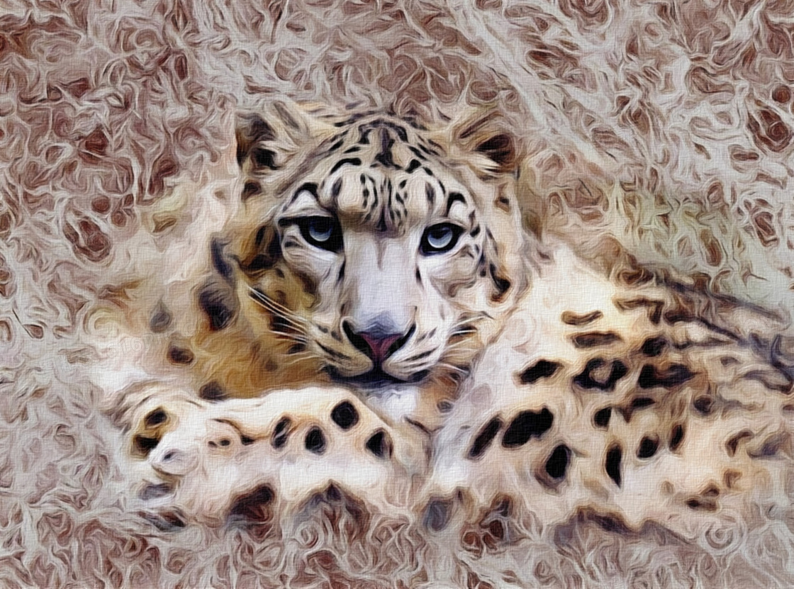猎豹绘画图片