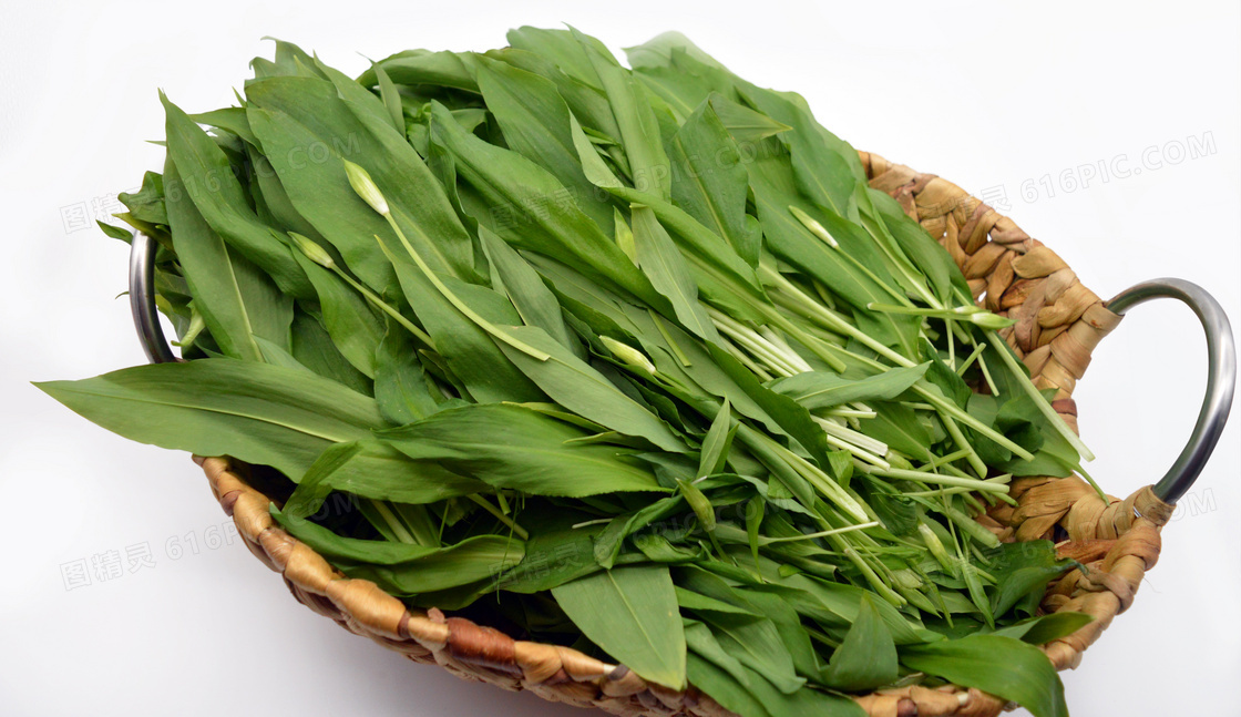 野生绿色蔬菜图片