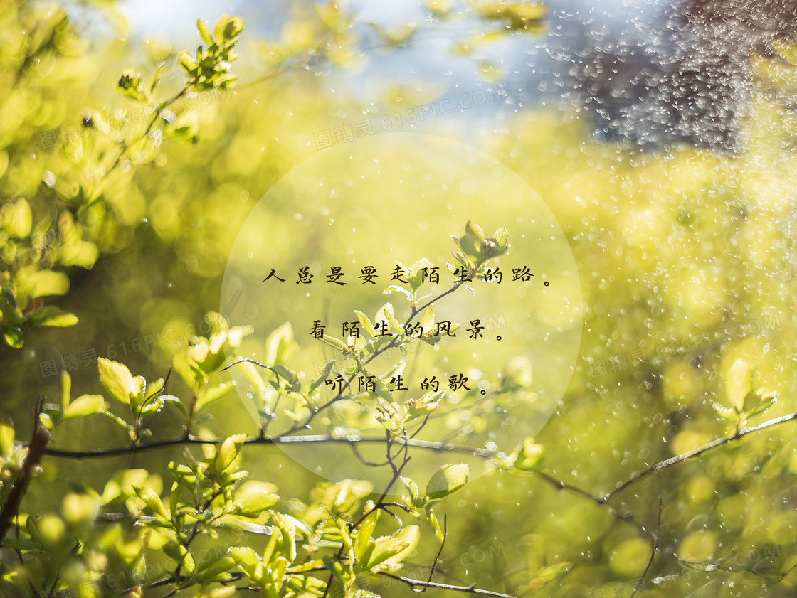 一句话励志说说图片
