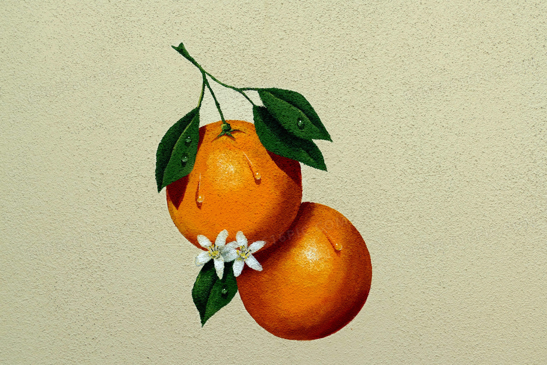 橙子油画图片