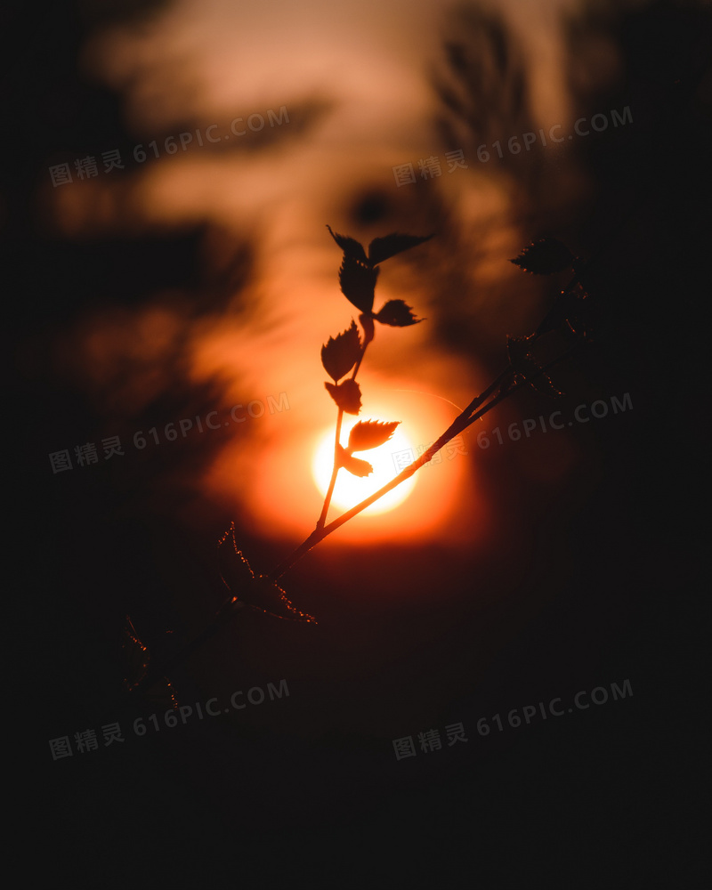 日落西山非主流风景图片