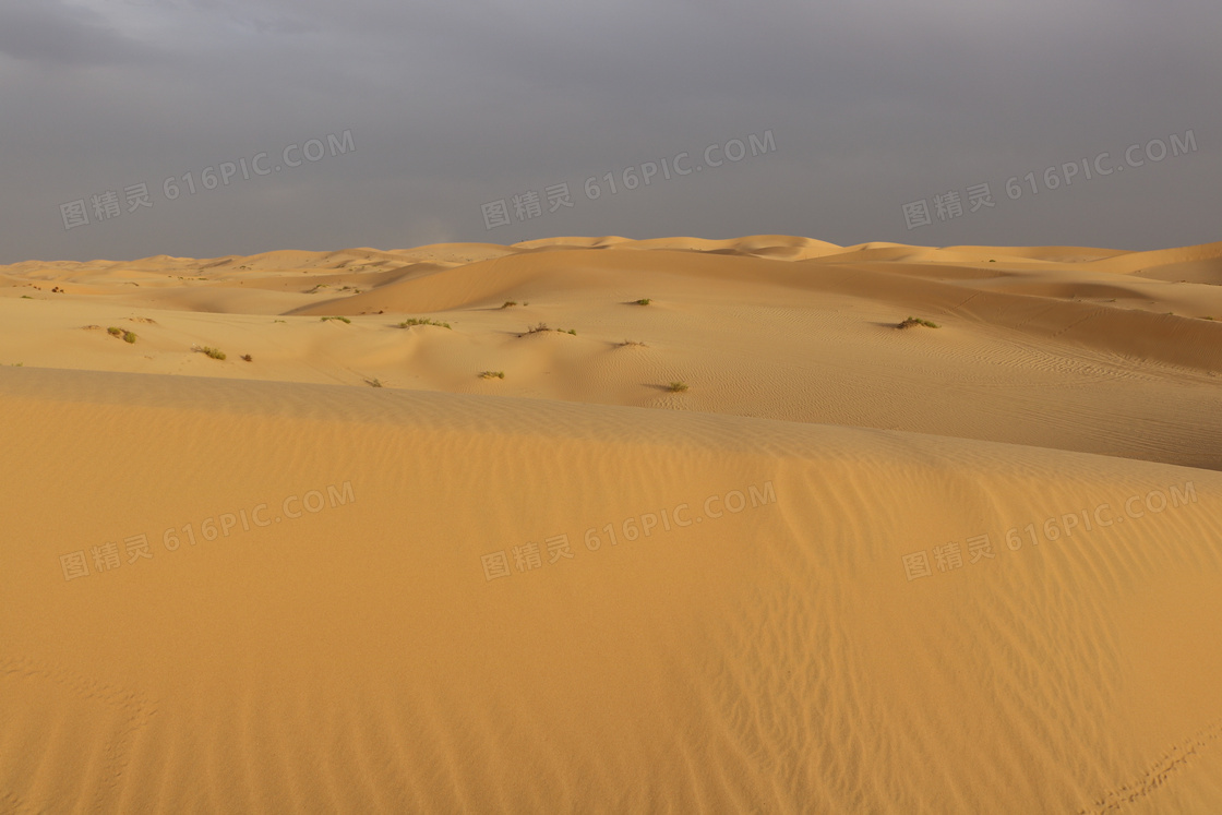 荒芜沙漠景观图片