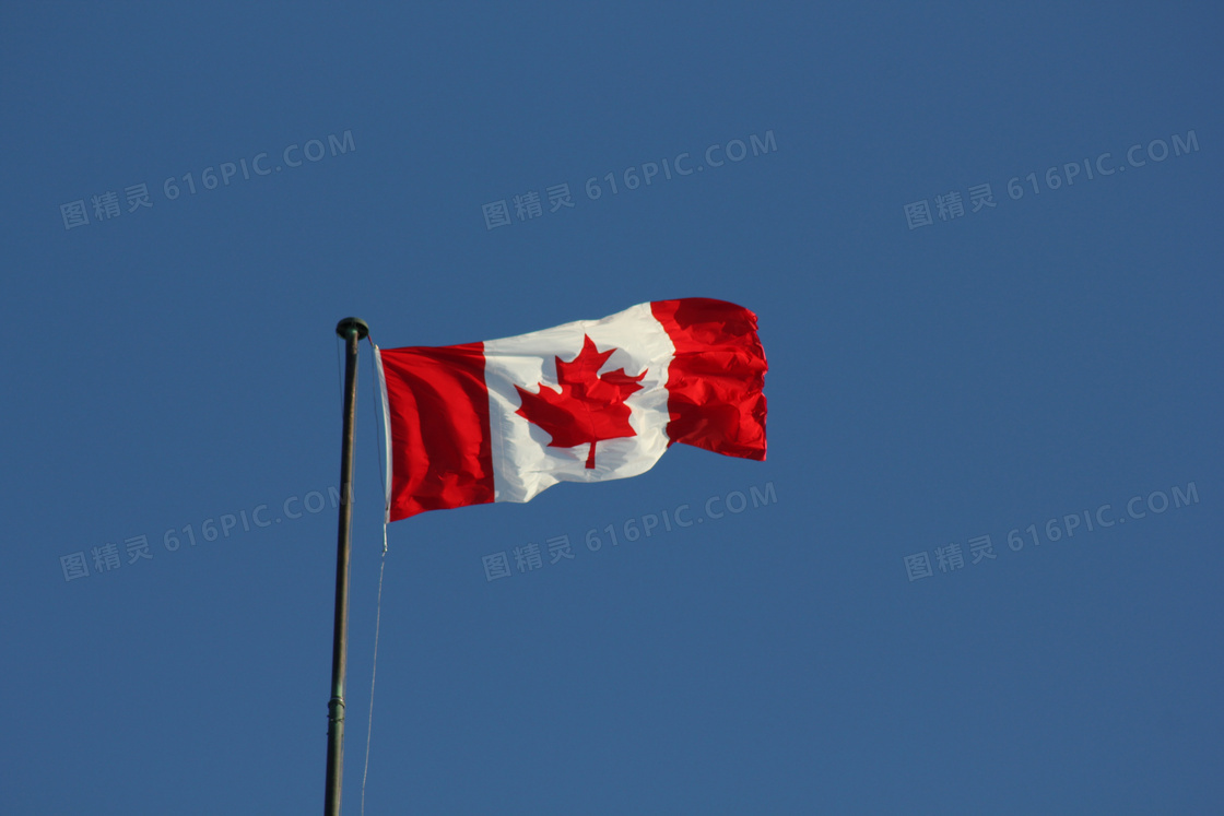 蓝天下加拿大国旗图片