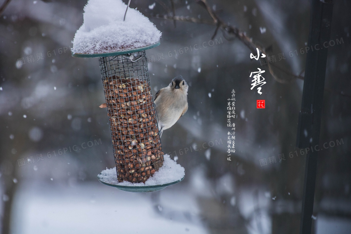 小寒节气图片