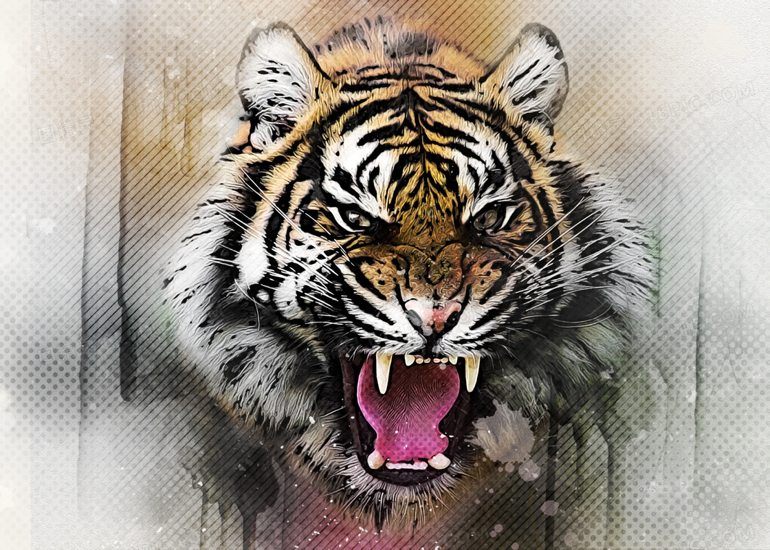 Sfondi del desktop Tigri Pantherinae Il muso Animali Colpo d'occhio