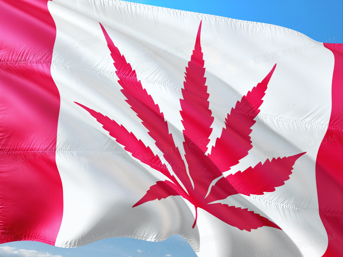 加拿大旗帜图片