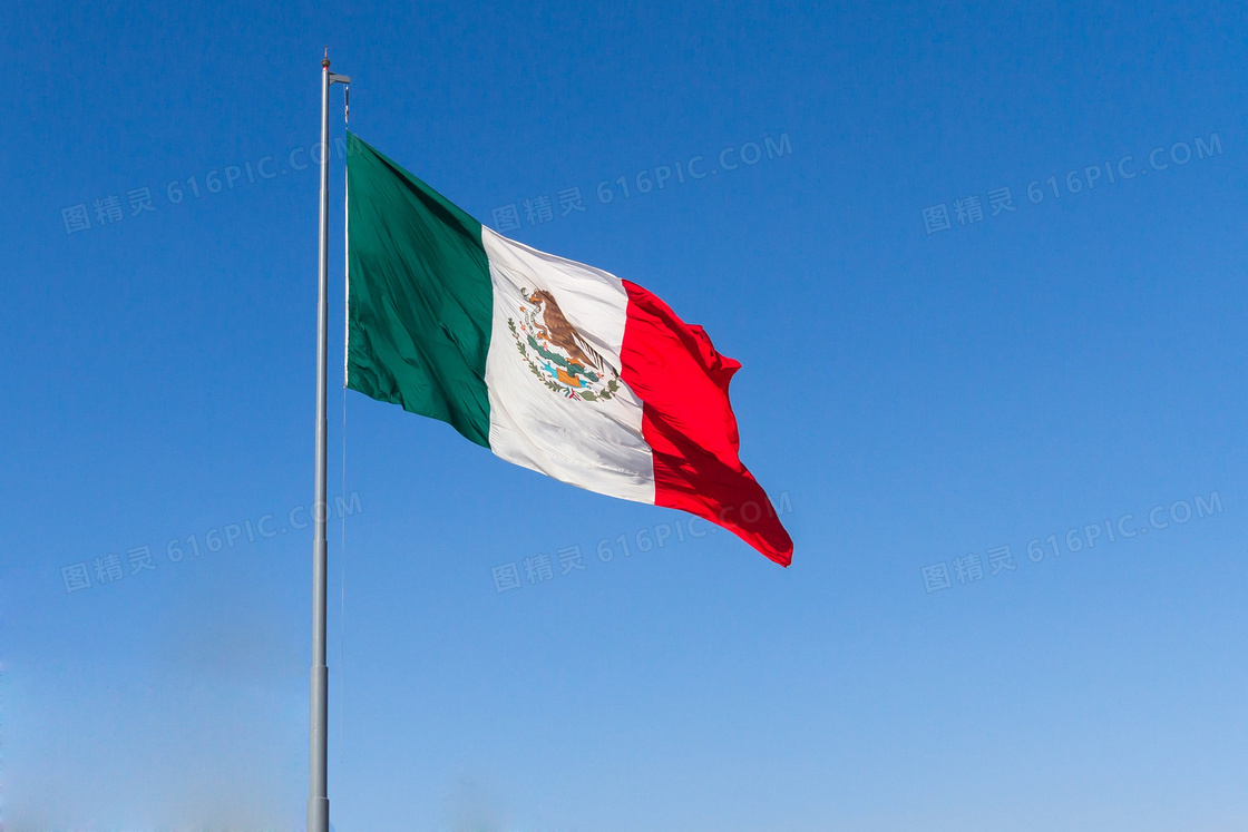 蓝色墨西哥国旗图片