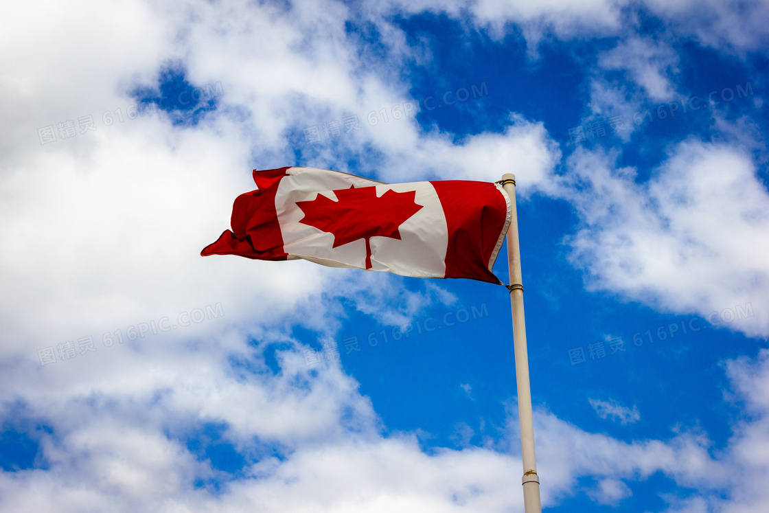 加拿大国旗飘扬图片