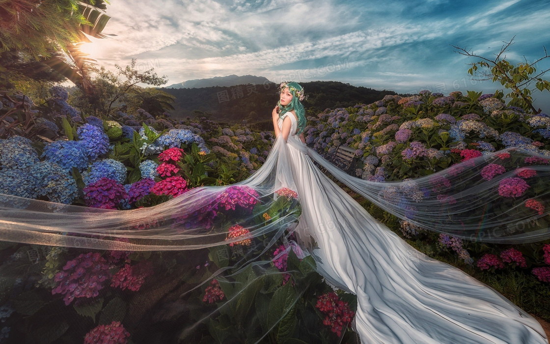 唯美梦幻婚纱摄影写真jpg图片免费下载_编号vdphm899v_图精灵