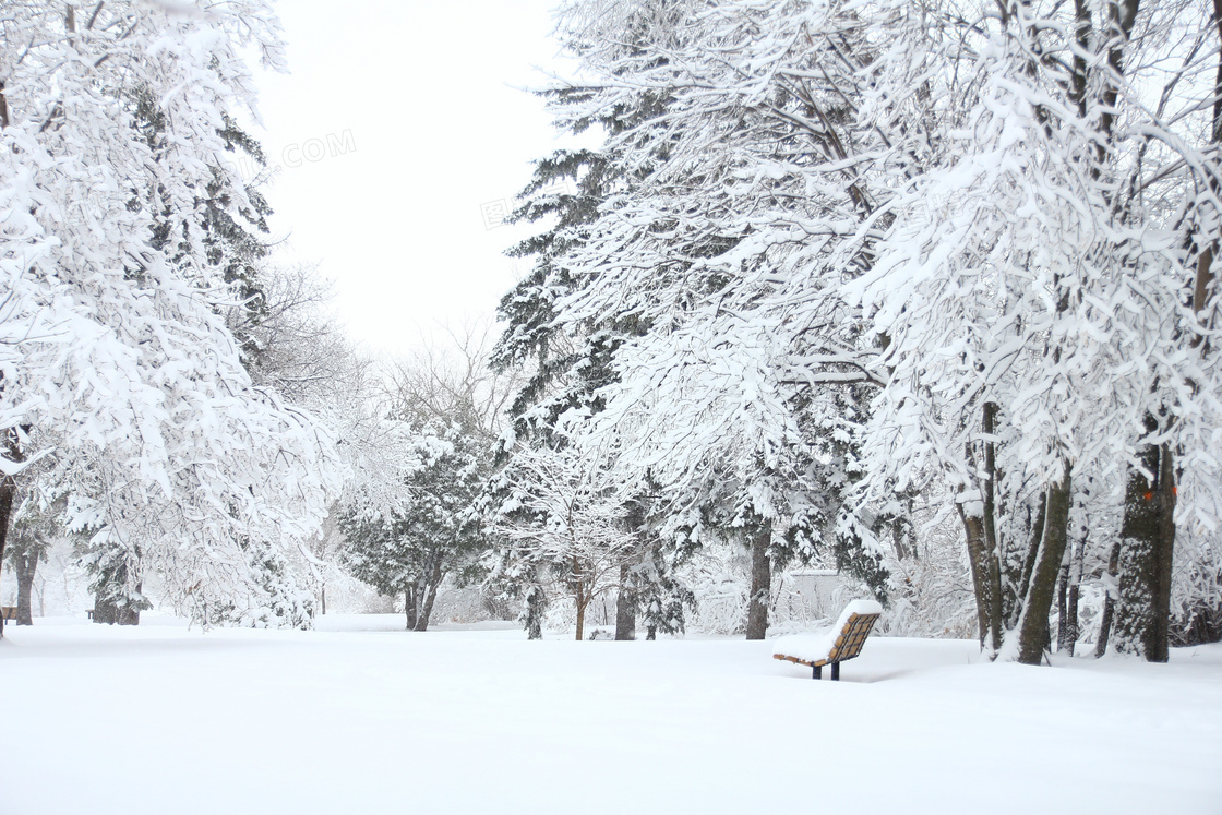 寒冷冬季雪景图片