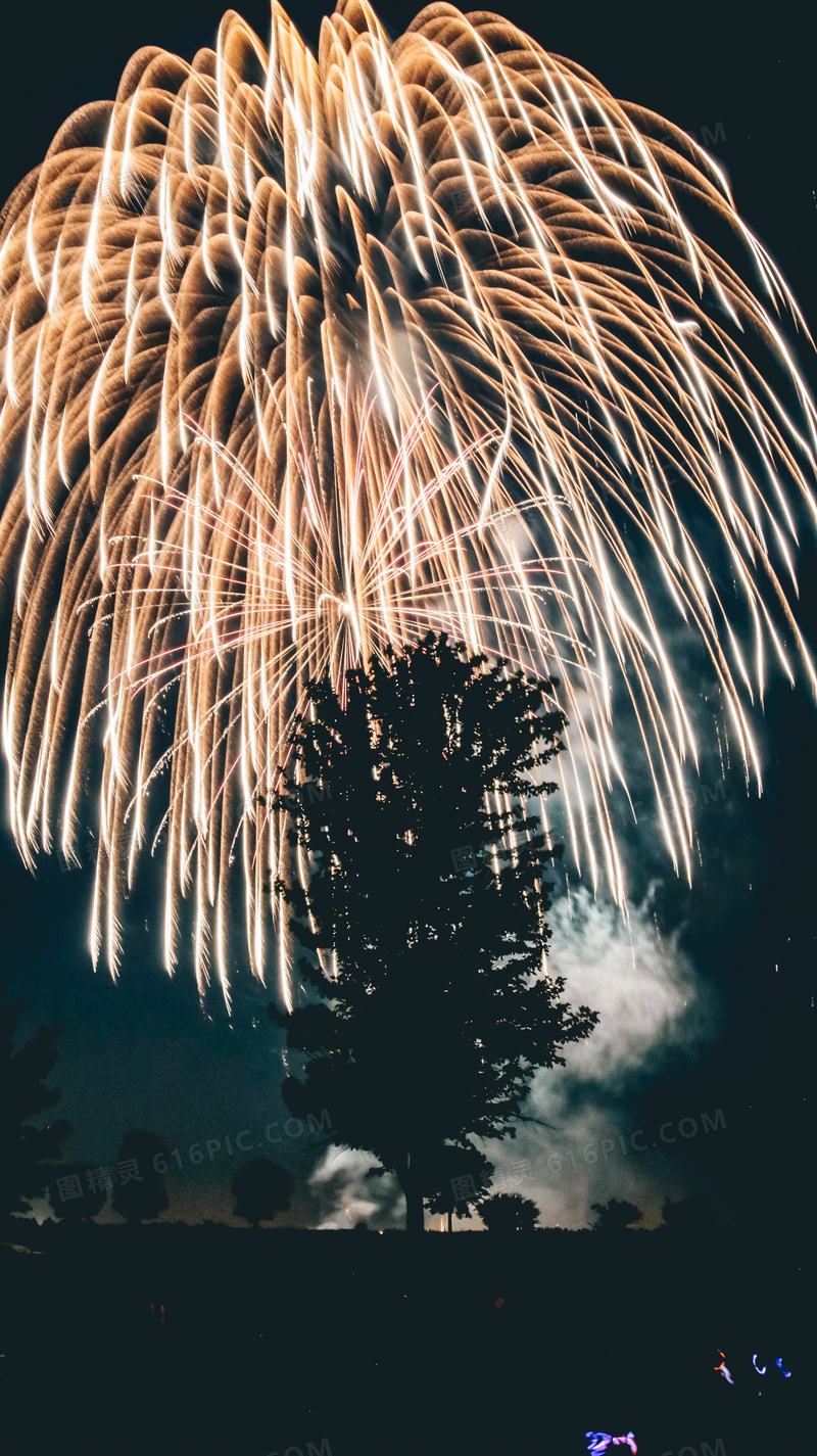 800_1425竖版 竖屏