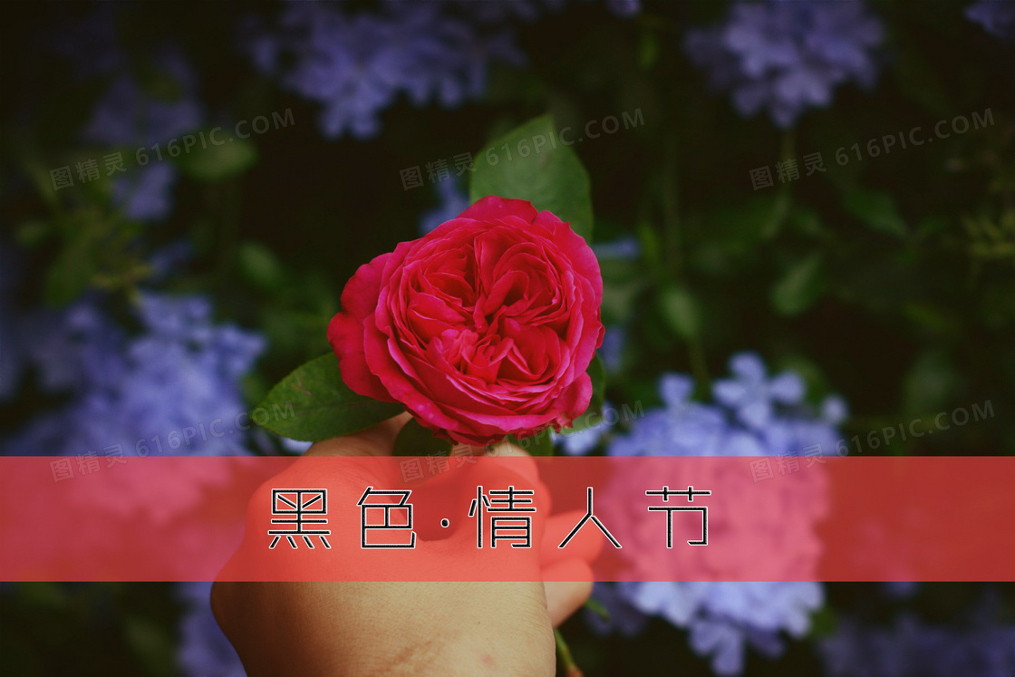 黑色情人节图片 黑色情人节图片大全