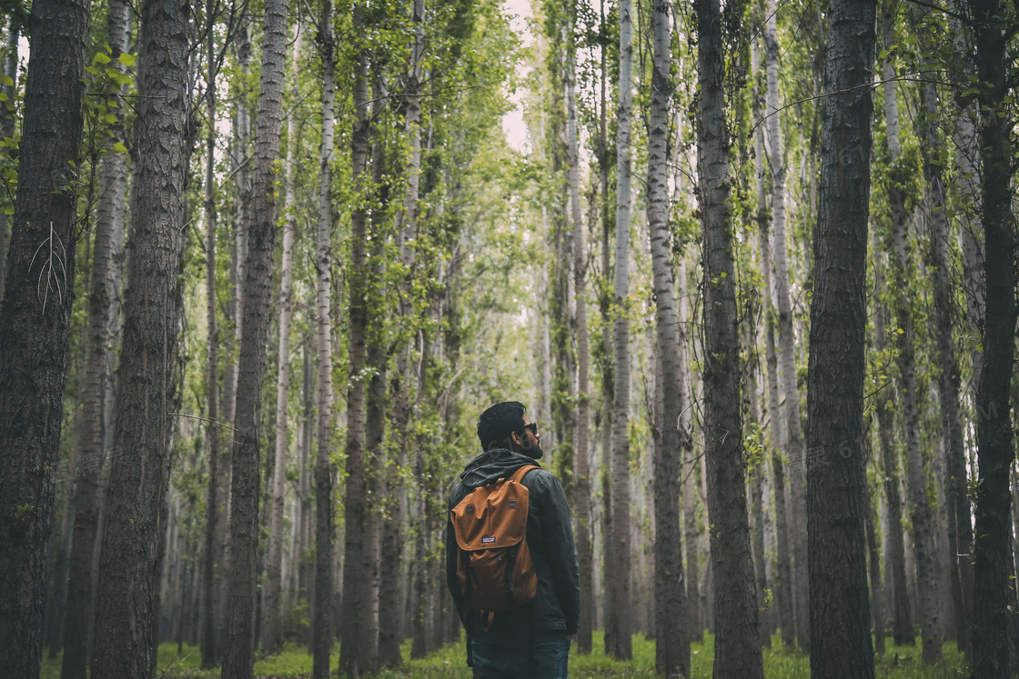 驴友背影图片