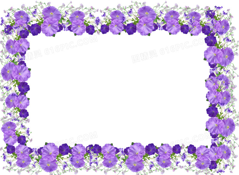 紫色花朵边框图片