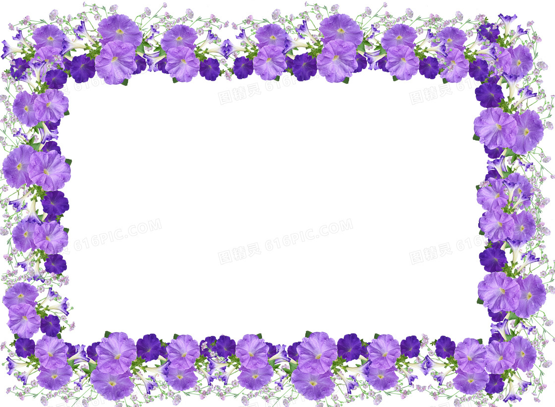 紫色花朵边框图片