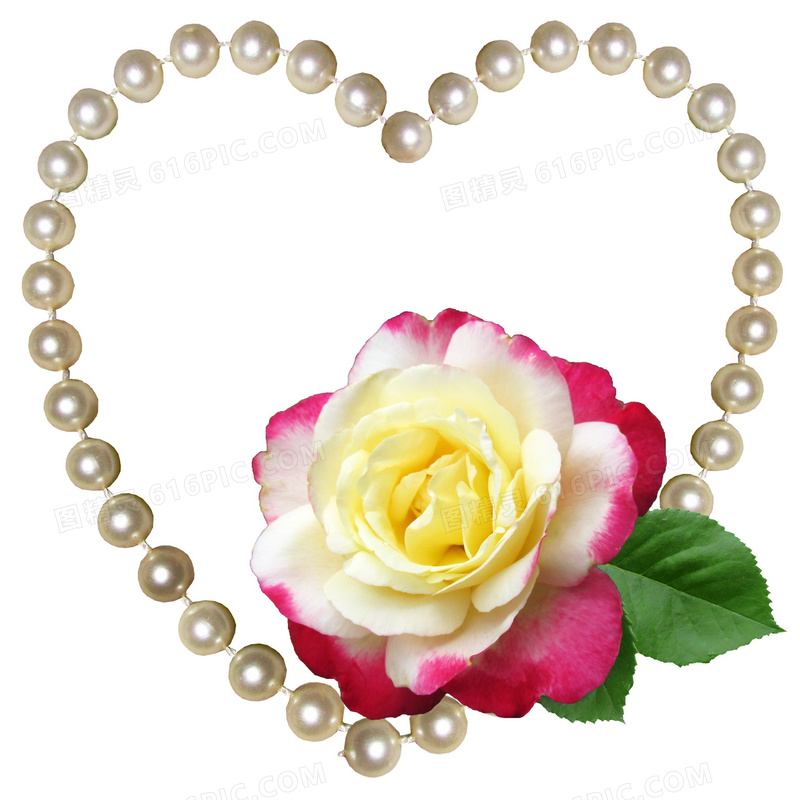 妇女节珍珠玫瑰图片
