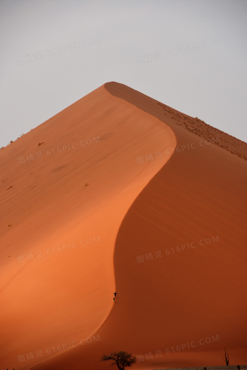 荒漠沙丘特写图片