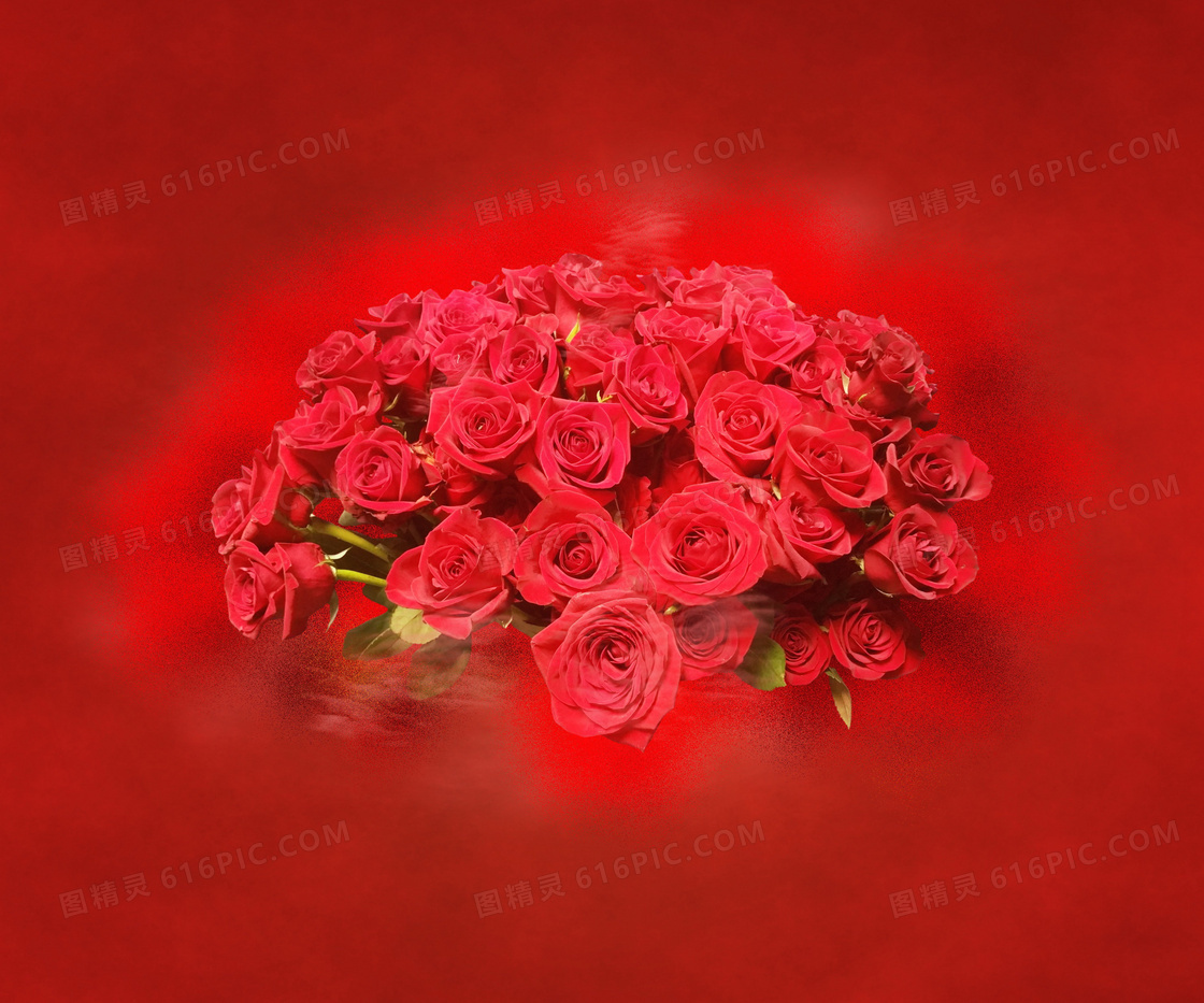情人节红玫瑰花束图片 情人节红玫瑰花束图片大全