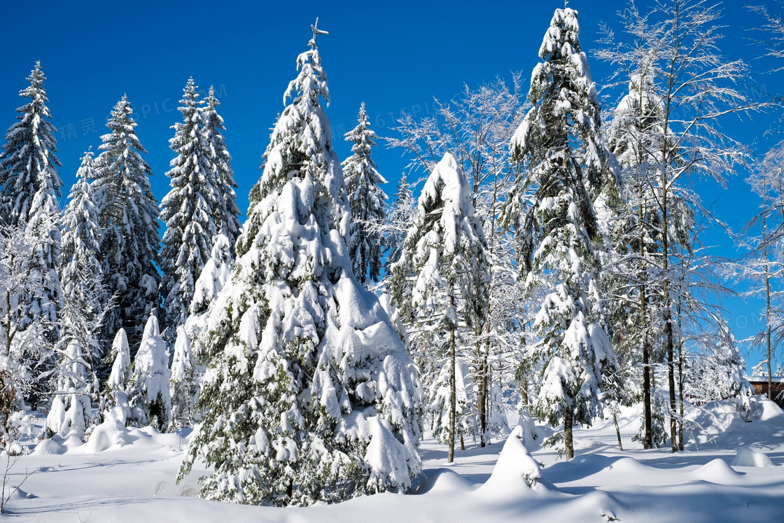 冬季雪景摄影图片